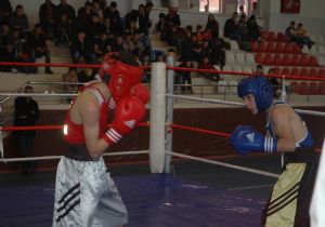 Boksta en iyiler belirlendi